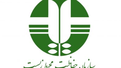 سازمان حفاظت از محیط زیست