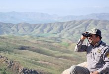 محیط‌بان لرستانی در درگیری با شکارچیان غیرمجاز مجروح شد