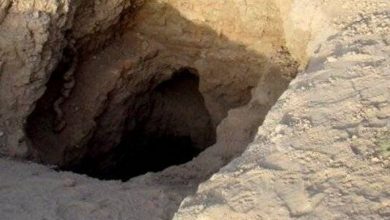 پلیس قزوین حفاران غیرمجاز را حین حفاری غافلگیر کرد