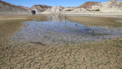 چرا دشتهای زنجان در معرض خطر هستند؟