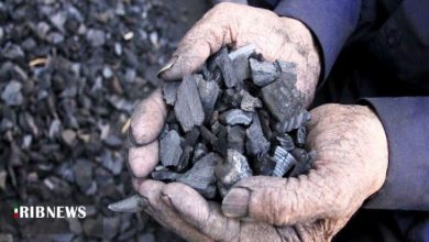 ۱۴۰۰ کیلوگرم زغال بلوط قاچاق در الیگودرز کشف شد