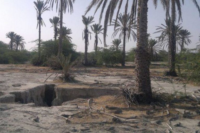 «دشت میناب؛ گنجینهای که در آستانه نابودی کامل است»