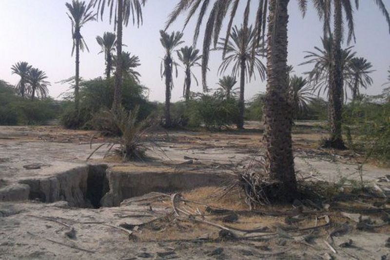 «دشت میناب؛ گنجینه‌ای که در آستانه نابودی کامل است»