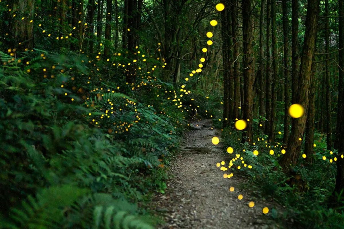 بسیاری از خداناباوران و بی‌دین‌ها در سراسر جهان باورهای معنوی دارند