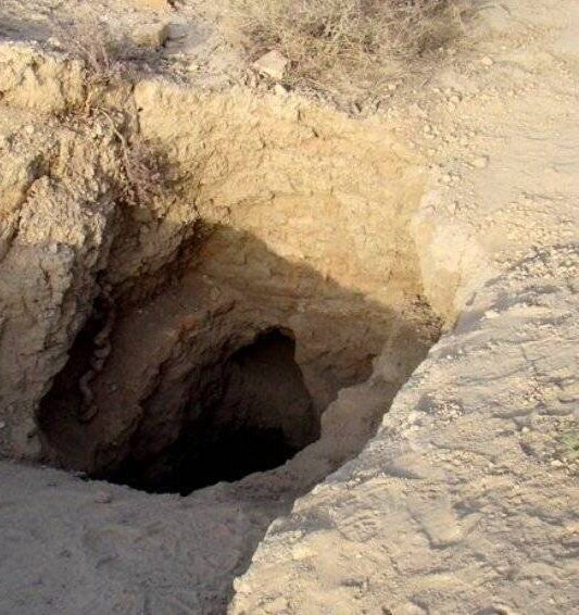 پلیس قزوین حفاران غیرمجاز را حین حفاری غافلگیر کرد