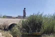 زاهدان نخستین شهر پایلوت رفع مشکلات فاضلاب محلات