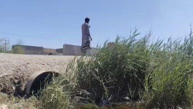 زاهدان نخستین شهر پایلوت رفع مشکلات فاضلاب محلات