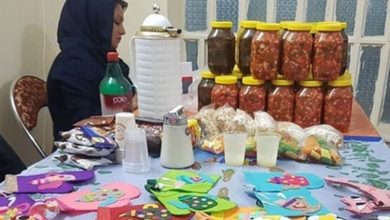 حمایت ۵۰۰ میلیونی تعاون ایلام از مشاغل خانگی