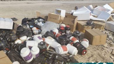 معدومسازی ۸۰۰ کیلوگرم پودرهای مکمل در فراشبند فارس