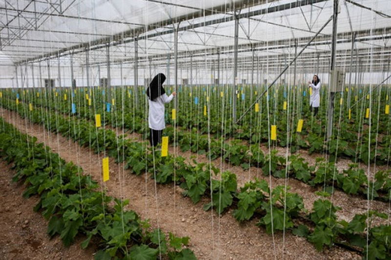 افتتاح بزرگترین شهرک گلخانهای آذربایجان شرقی در شبستر