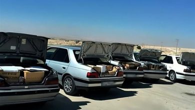 توقیف ۲۸۰۰ خودروی شوتی و دستگیری ۵ هزار اتباع غیرمجاز در کرمان