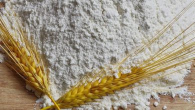 صدور کیفرخواست برای شبکه بزرگ قاچاق آرد در گلستان