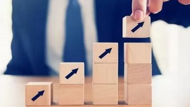 حسین انتظامی: بهرهوری شوخی است