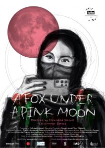 روباه زیر ماه صورتی