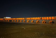 روز نصف جهان