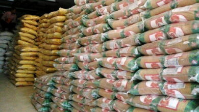 شناسایی و کشف انبار احتکار برنج در شهرستان ایوان ایلام