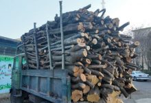 چهار تن هیزم جنگلی در اردبیل توقیف شد