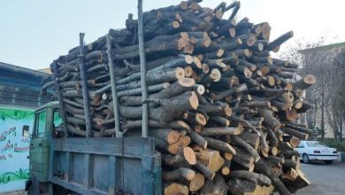 چهار تن هیزم جنگلی در اردبیل توقیف شد