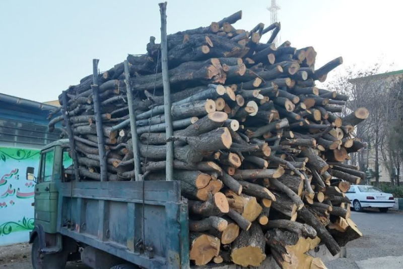 چهار تن هیزم جنگلی در اردبیل توقیف شد