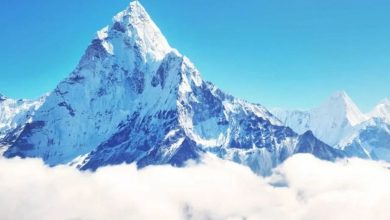 مدل اورست برای مدیریت و رهبری