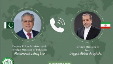 وزیران خارجه ایران و پاکستان با محوریت تحولات منطقه‌ای گفت‌وگو کردند