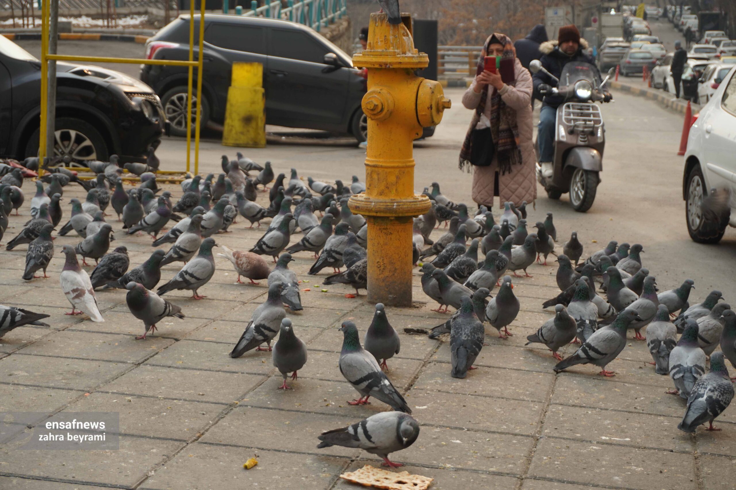 گزارش تصویری از تجریش تا راه آهن