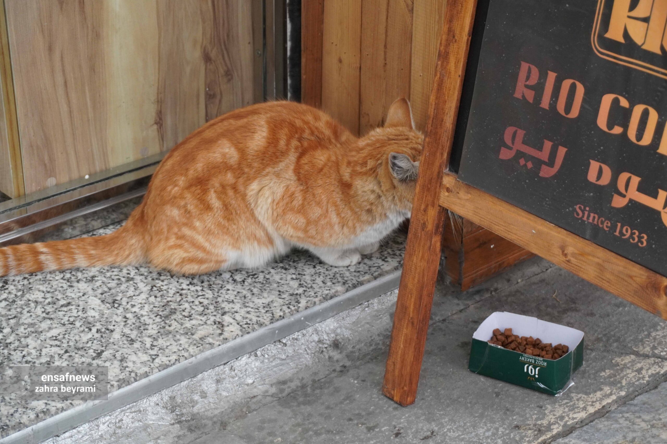 گزارش تصویری از تجریش تا راه آهن