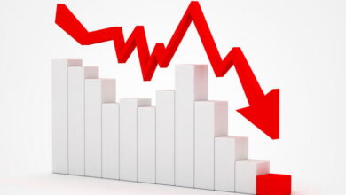 این استان رکورددار کمترین نرخ بیکاری پاییز ۱۴۰۴ است