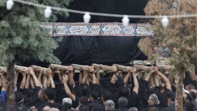 ثبت ملی ۱۹ اثر میراث فرهنگی ناملموس | «داستان عاشقانه مینا و پلنگ»