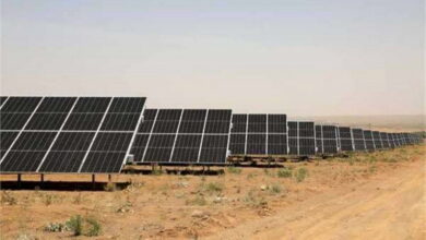 ۲۰۲ هکتار زمین میزبان نیروگاه خورشیدی در زنجان