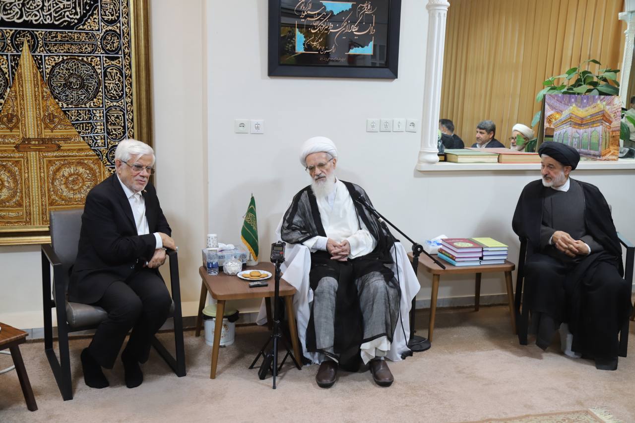 آیت الله بیات زنجانی در دیدار عارف: دولت زخم دی‌ماه را ترمیم کند